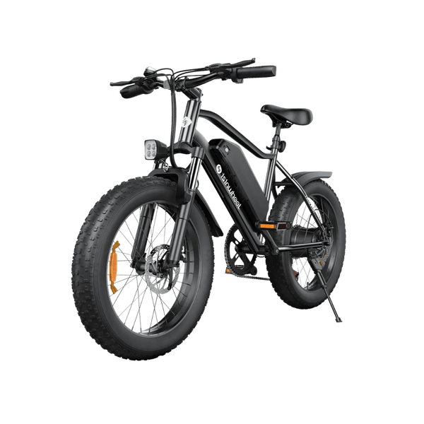 Bicicleta Elétrica M10 Pro Motor 750w 40km/h